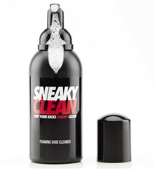Sneaky Shoe Cleaner 2