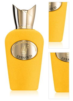 Sospiro Erba Oud parfumovaná voda unisex 100 ml 3