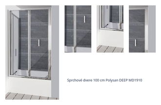 Sprchové dvere 100 cm Polysan DEEP MD1910 1