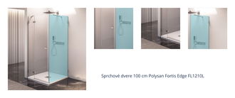 Sprchové dvere 100 cm Polysan Fortis Edge FL1210L 1