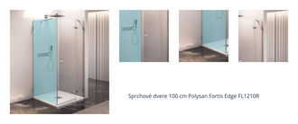 Sprchové dvere 100 cm Polysan Fortis Edge FL1210R 1