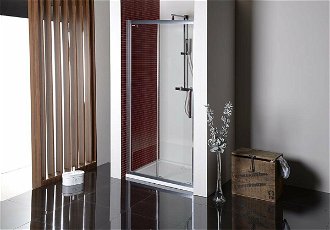 Sprchové dvere 100 cm Polysan Lucis DL1015 2