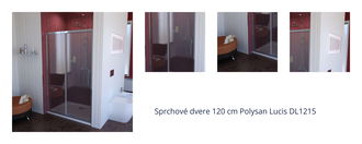 Sprchové dvere 120 cm Polysan Lucis DL1215 1