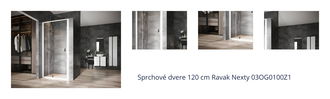 Sprchové dvere 120 cm Ravak Nexty 03OG0100Z1 1