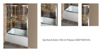 Sprchové dvere 160 cm Polysan DEEP MD1616 1