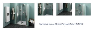 Sprchové dvere 90 cm Polysan Zoom ZL1790 1