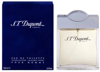 S.T. Dupont S.T. Dupont for Men toaletná voda pre mužov 100 ml
