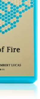 Stéphane Humbert Lucas 777 God of Fire parfumovaná voda unisex 50 ml 9