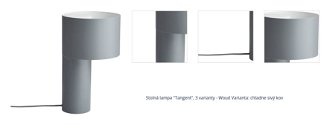 Stolná lampa "Tangent", 3 varianty - Woud Varianta: chladne sivý kov 1