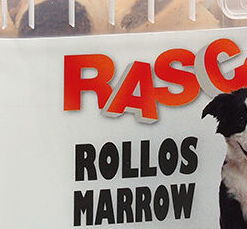 Susienky Rasco rollos morkove male 3cm 530g 5