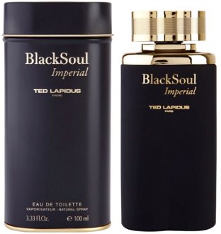 Ted Lapidus Black Soul Imperial toaletná voda pre mužov 100 ml