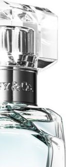 Tiffany & Co. Tiffany & Co. Intense parfumovaná voda pre ženy 30 ml 7