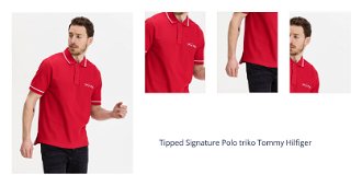Tipped Signature Polo triko Tommy Hilfiger 1