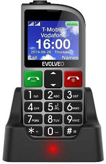 Tlačidlový telefón pre seniorov Evolveo EasyPhone FM, strieborná