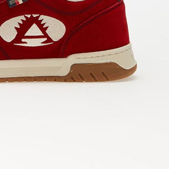 Tommy Jeans x Aries Skater Aurora Red 9