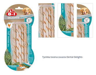 Tycinka tocena zuvacia Dental Delights 1