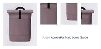 Ucon Acrobatics Hajo Lotus Grape 1
