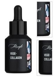 Vege – Collagen 3