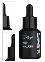 Vege – Collagen 4