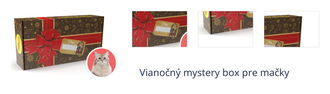 Vianočný mystery box pre mačky 1