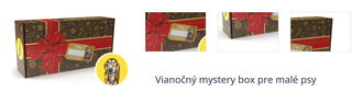 Vianočný mystery box pre malé psy 1