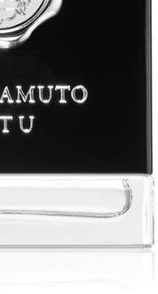 Vince Camuto Virtu toaletná voda pre mužov 100 ml 9