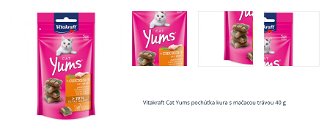 Vitakraft Cat Yums pochúťka kura s mačacou trávou 40 g 1