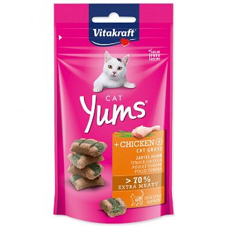 Vitakraft Cat Yums pochúťka kura s mačacou trávou 40 g 2
