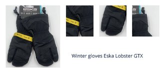 Winter gloves Eska Lobster GTX 1