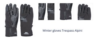 Winter gloves Trespass Alpini 1
