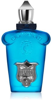 Xerjoff Mefisto Gentiluomo parfumovaná voda pre mužov 100 ml