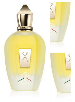 Xerjoff XJ 1861 Naxos parfumovaná voda unisex 100 ml 3