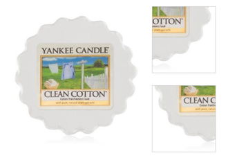 Yankee Candle Vonný vosk do aromalampy Clean Cotton 22 g 3