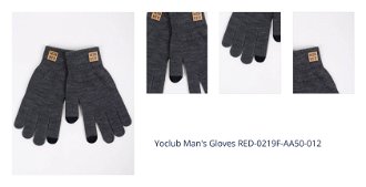 Yoclub Man's Gloves RED-0219F-AA50-012 1