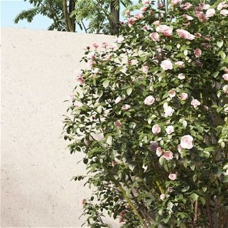 Záhradný kvetináč borovice Dekorhome Biela,Záhradný kvetináč borovice Dekorhome Biela 6